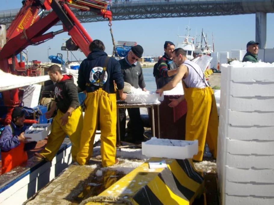 Casa Di Pipo - Appartamento Davanti Al Mare Pescara Eksteriør billede